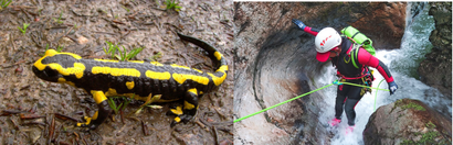 QLMB 2023 - ENVIRONNEMENT ET CANYONING QLMB 2023 - ENVIRONNEMENT ET CANYONING